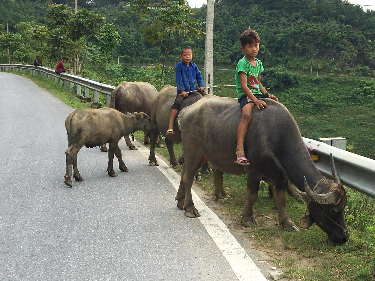 Thap Tam Royal Hotel Ninh Bình Kültér fotó